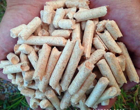 生物質(zhì)顆粒機械設備
